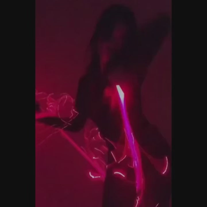 LED Whip